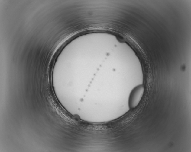 X0000116150884200912141155