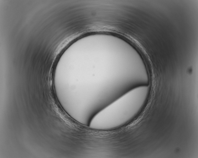 X0000116150885200912141155