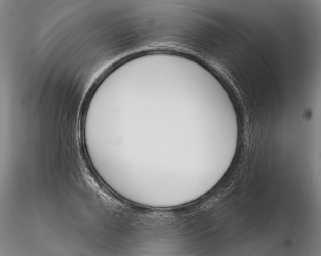 X0000116150888200912141155