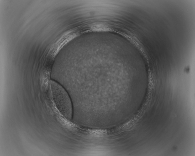 X0000116150889200912141155