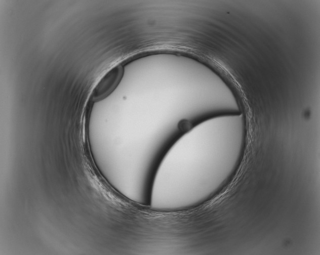 X0000116150892200912141154