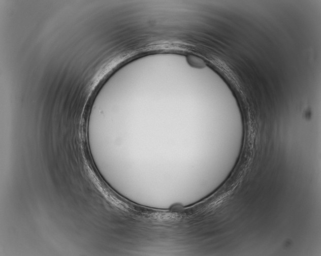 X0000116150893200912141154