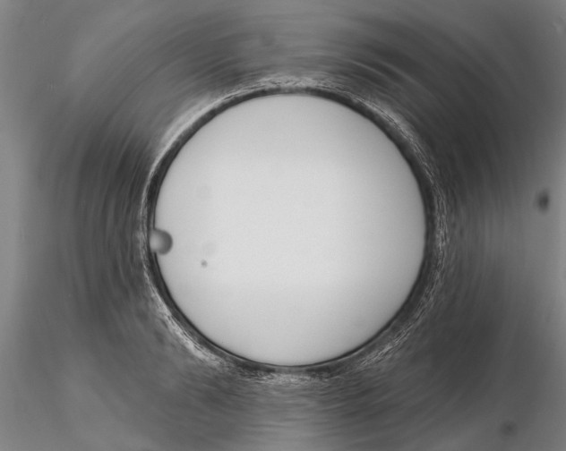 X0000116150894200912141154