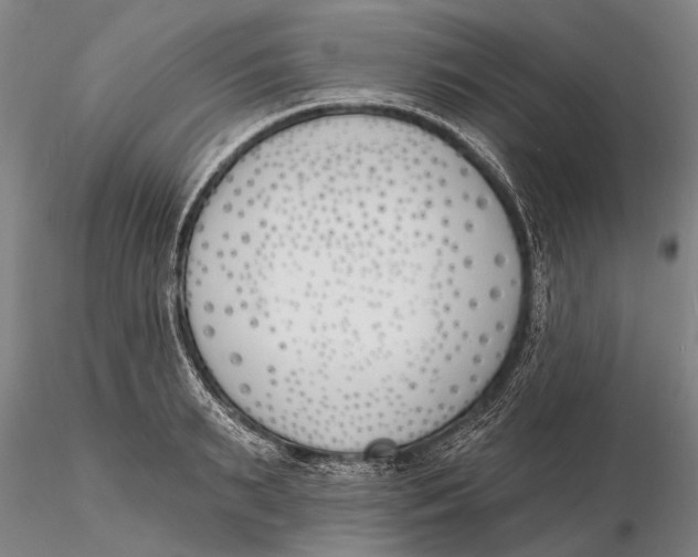 X0000116150895200912141154