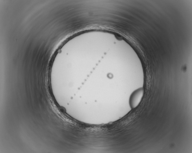 X0000116150896200912141154