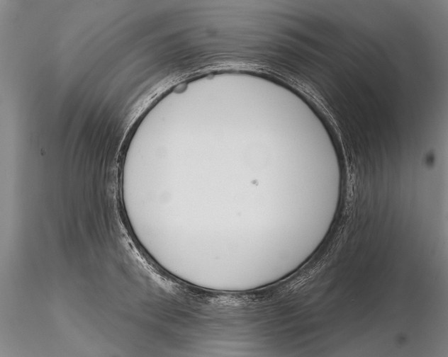 X0000116150898200912141154