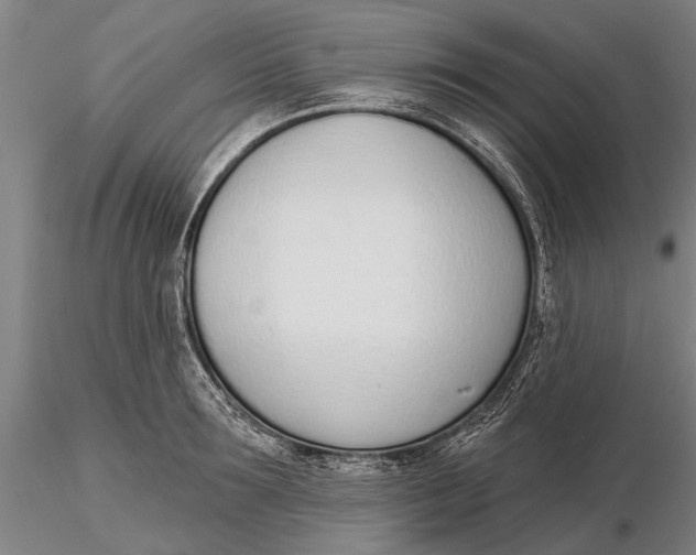 X0000116150899200912141154