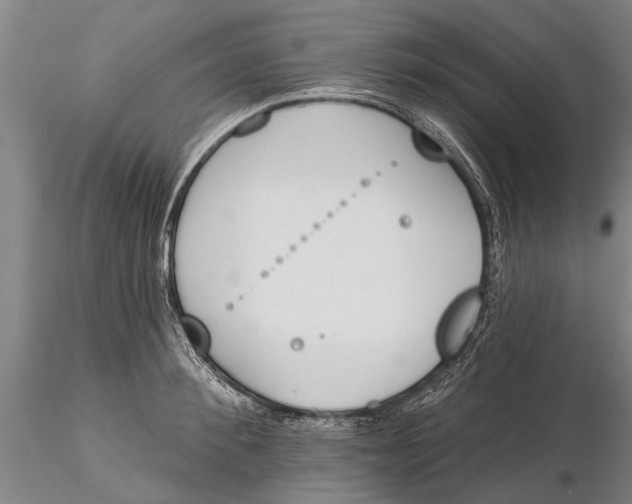 X0000116150900200912141154