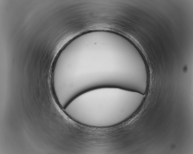 X0000116150901200912141154