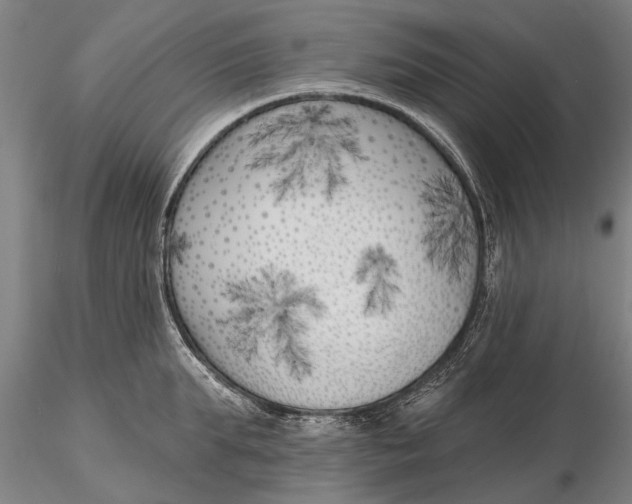 X0000116150903200912141154