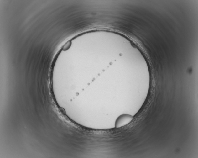 X0000116150904200912141154