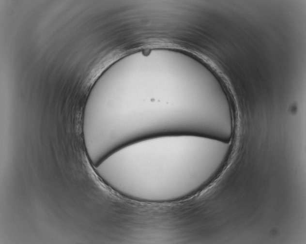 X0000116150905200912141154