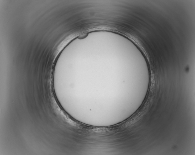 X0000116150906200912141154