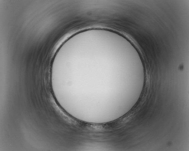 X0000116150911200912141154