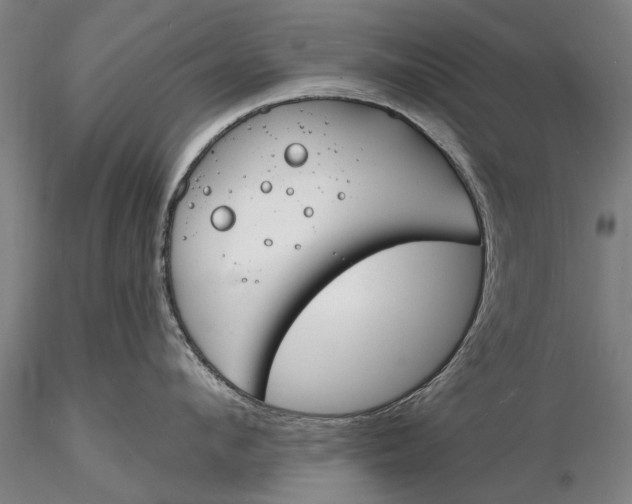 X0000116150912200912141154