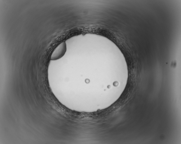 X0000116150913200912141153