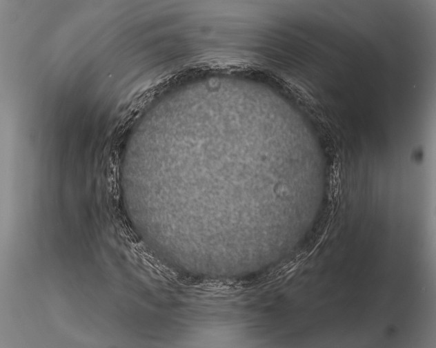 X0000116150917200912141153