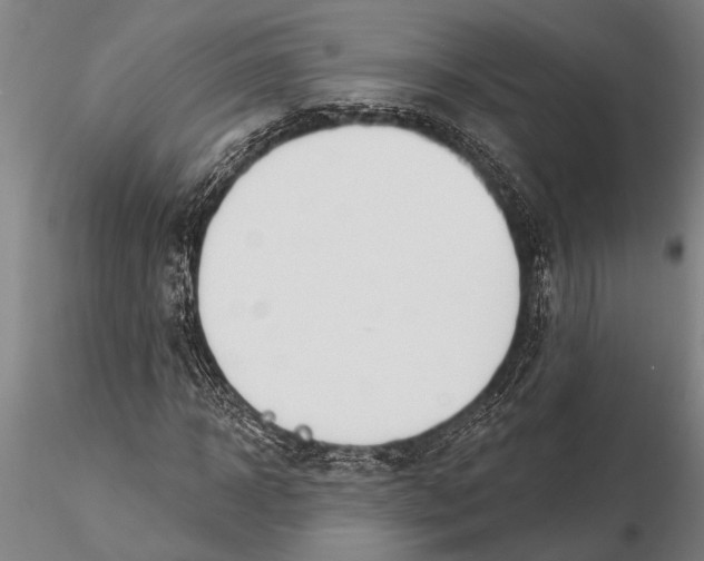 X0000116150918200912141153