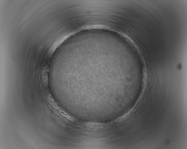 X0000116150921200912141153