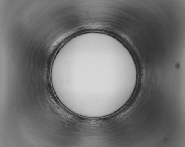 X0000116150922200912141153