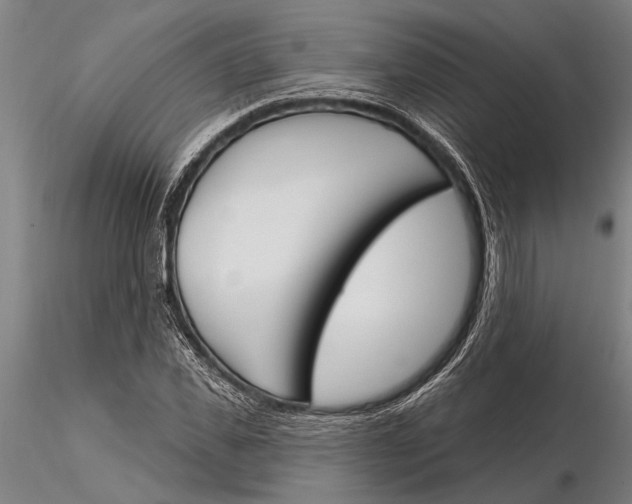 X0000116150925200912141154