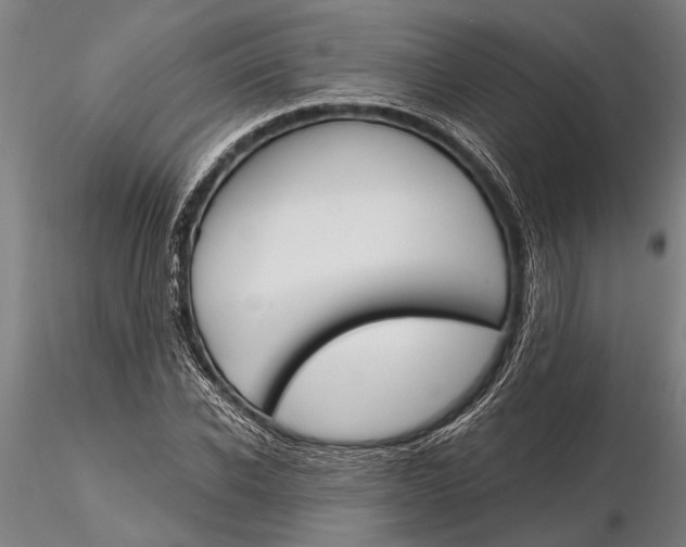 X0000116150926200912141154