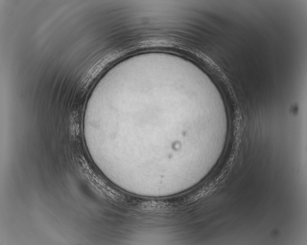 X0000116150929200912141154