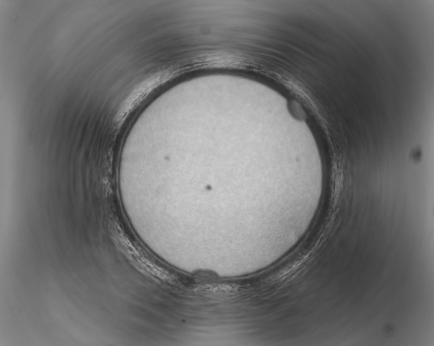 X0000116150930200912141154