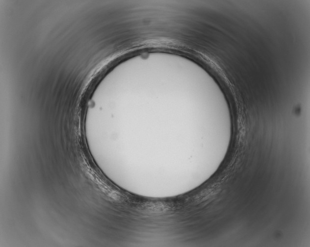 X0000116150931200912141154