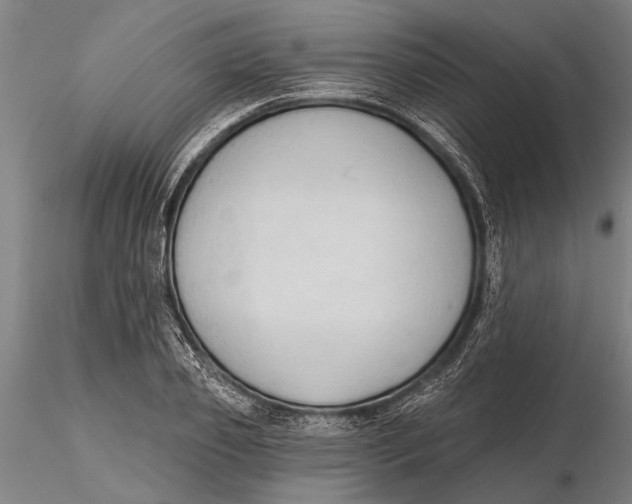 X0000116150933200912141154