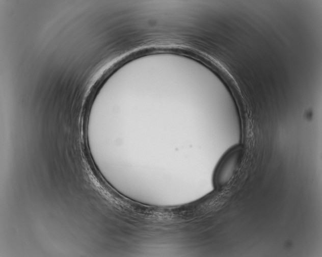 X0000116150935200912141154