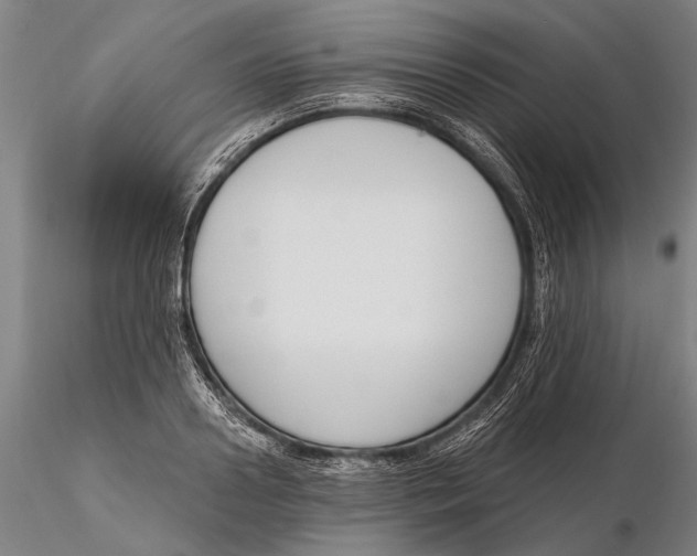 X0000116150938200912141154