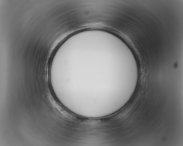 X0000116150939200912141154