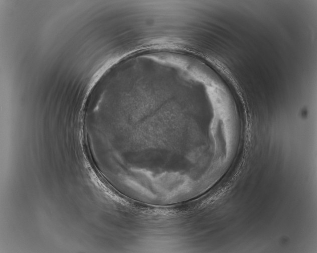 X0000116150941200912141154