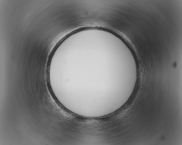 X0000116150943200912141154