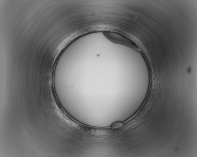 X0000116150946200912141154