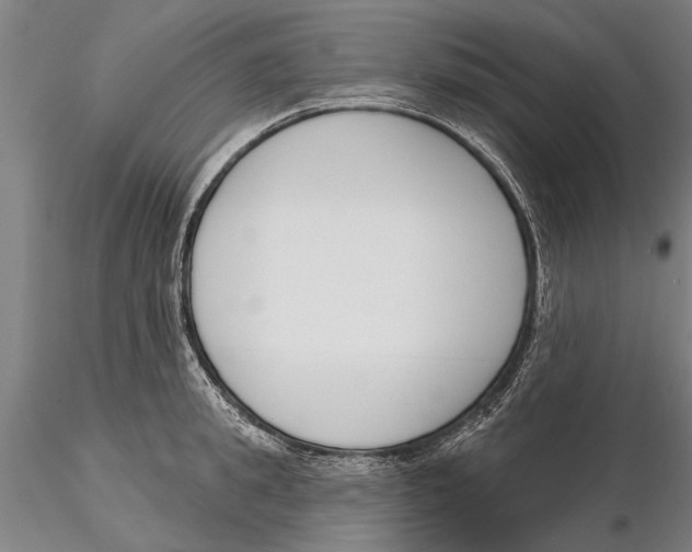 X0000116150949200912141154