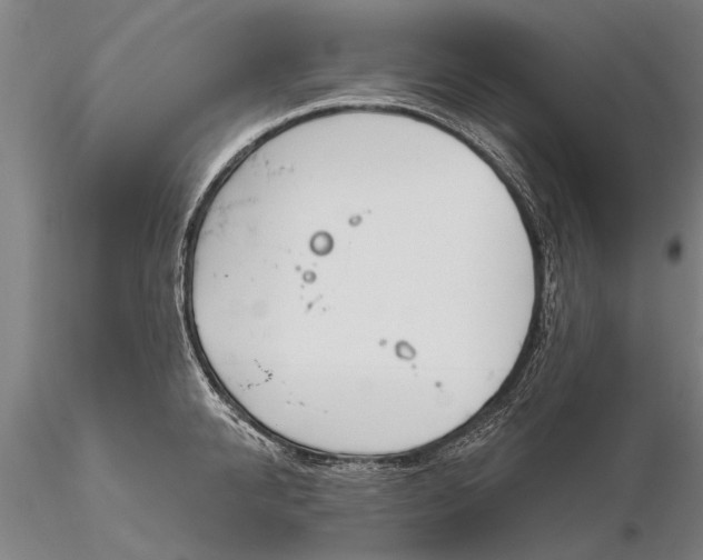 X0000116150950200912141154