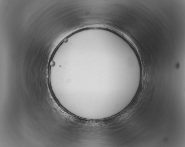 X0000116150951200912141154