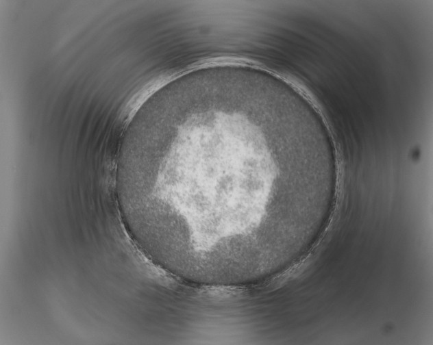 X0000116150953200912141154