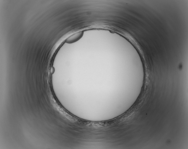 X0000116150955200912141154