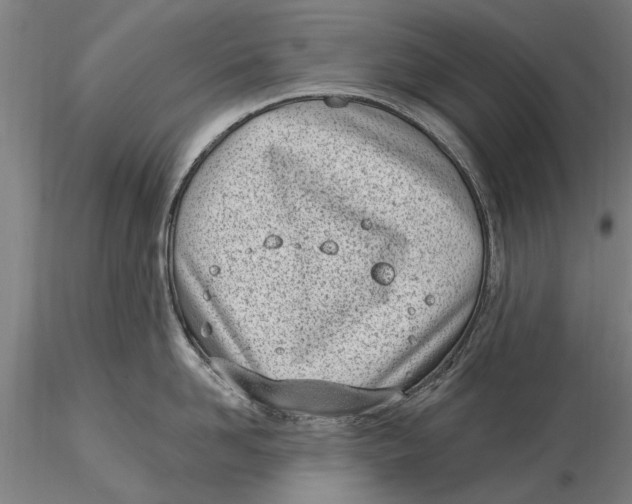 X0000116150958200912141154