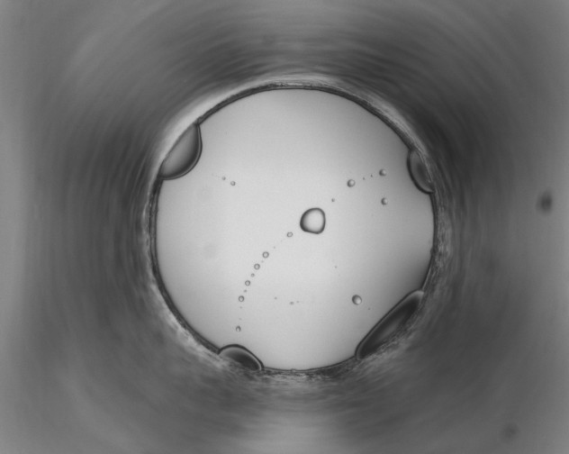 X0000116150959200912141154