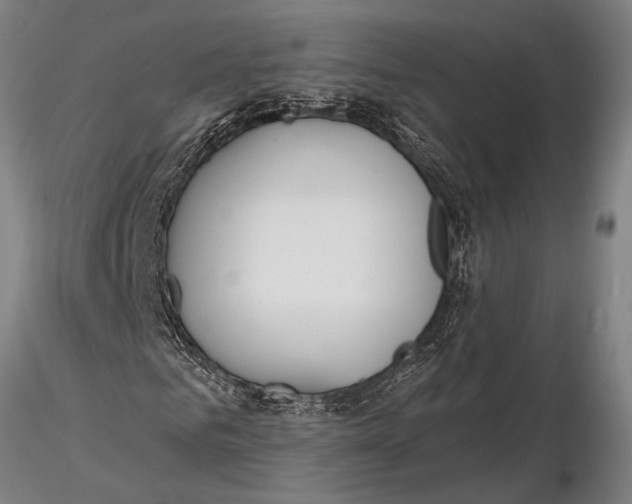 X0000116150961200912141153