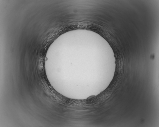 X0000116150962200912141153