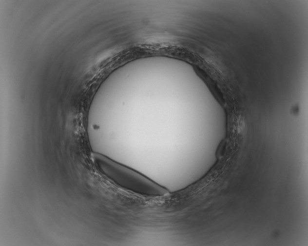 X0000116150965200912141153