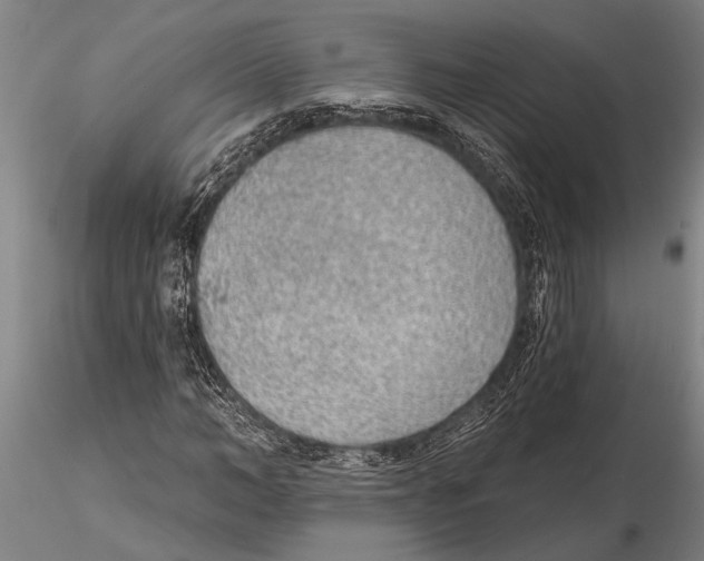 X0000116150966200912141153