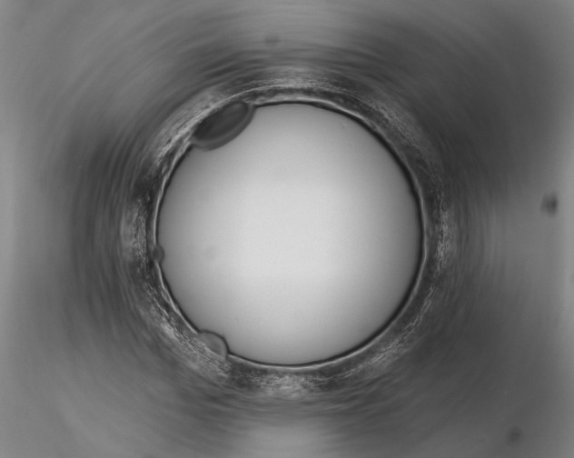 X0000116150969200912141153