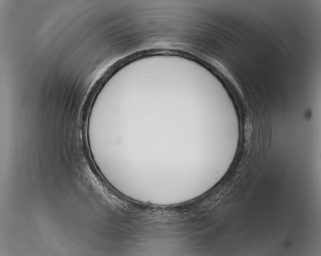 X0000116150972200912141153