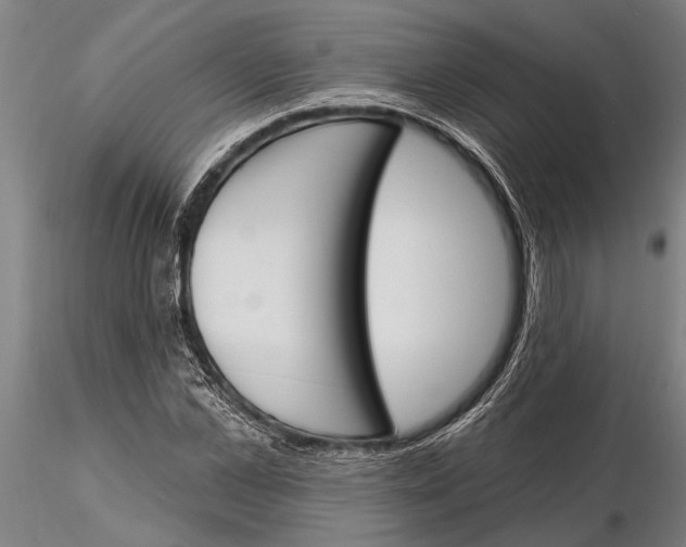 X0000116150973200912141153